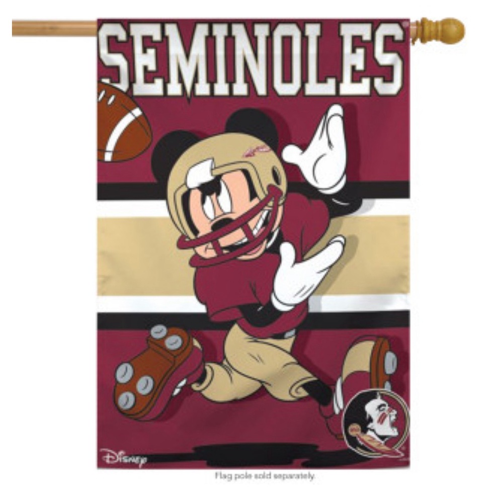 FLORIDA STATE SEMINOLES 28X40 DISNEY BANNER ❤️💛🏈 NWOT